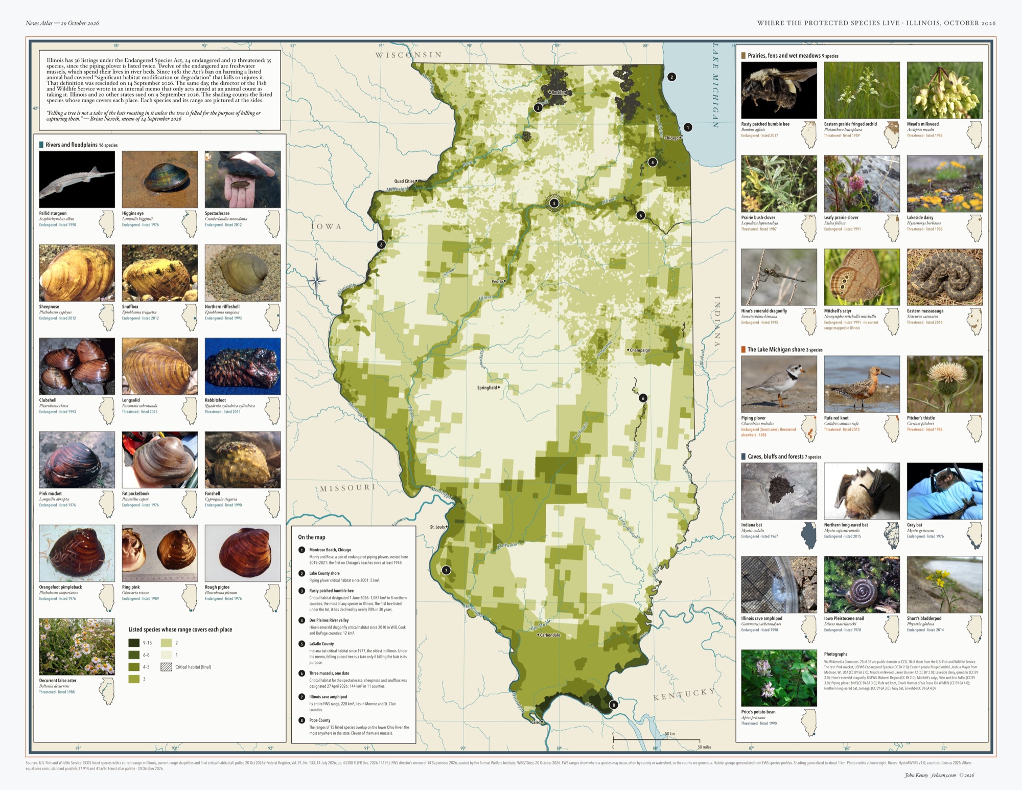 Map of Illinois shaded in greens by how many federally listed species' ranges cover each place: palest across the central farm counties, darker along the Mississippi, Illinois and Kankakee rivers and around Chicago, darkest at the state's southern tip on the lower Ohio River. Dark hatched patches mark critical habitat, the largest across the northern counties around Rockford for the rusty patched bumble bee. Eight numbered notes mark Montrose Beach in Chicago, the Lake County shore, the bumble bee's habitat, the Des Plaines River valley, LaSalle County, three mussel habitats, the cave amphipod's range near St. Louis and Pope County. Columns of photographs on both sides show all 35 species, each with a small map of its range in Illinois: sixteen of rivers and floodplains, mostly mussel shells, plus the pallid sturgeon and decurrent false aster; nine of prairies, fens and wet meadows, including the rusty patched bumble bee, the eastern prairie fringed orchid and the eastern massasauga rattlesnake; three of the Lake Michigan shore, the piping plover, rufa red knot and Pitcher's thistle; and seven of caves, bluffs and forests, including the Indiana, northern long-eared and gray bats.